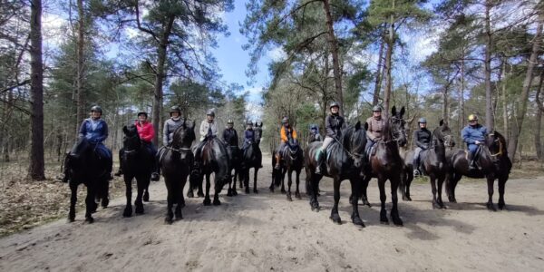 Buitenrit Rucphense heide